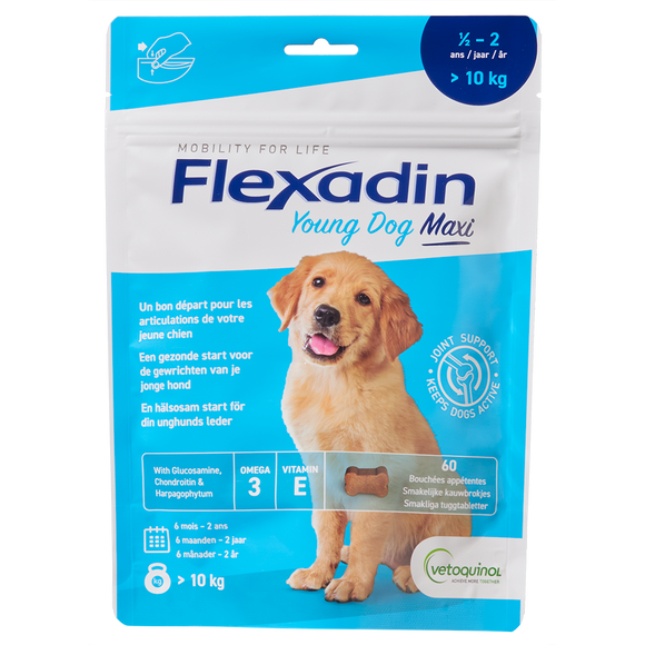 FLEXADIN YOUNG DOG MAXI CHEWS 60 ST