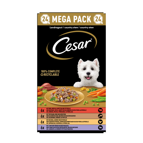 CESAR CLASSIC ALU LANDRAGOUT MP 24x150 GR