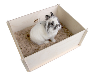 BUNNY DIGGINGBOX