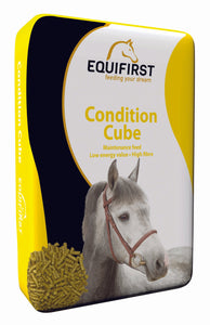 EQUIFIRST CONDITION CUBE 20 KG