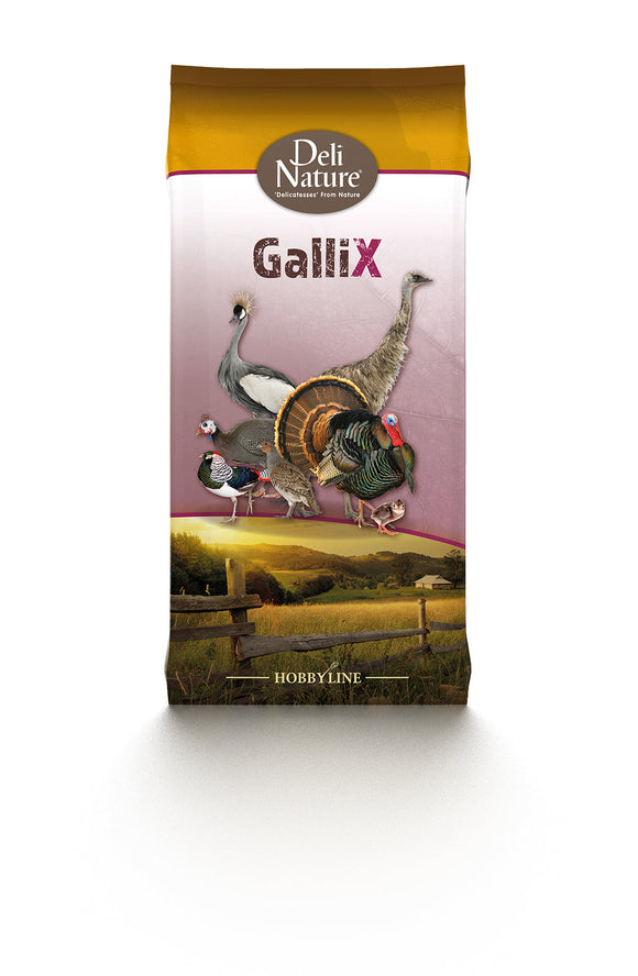 DN GALLIX ORNAMENTAL SUPER START 4 KG