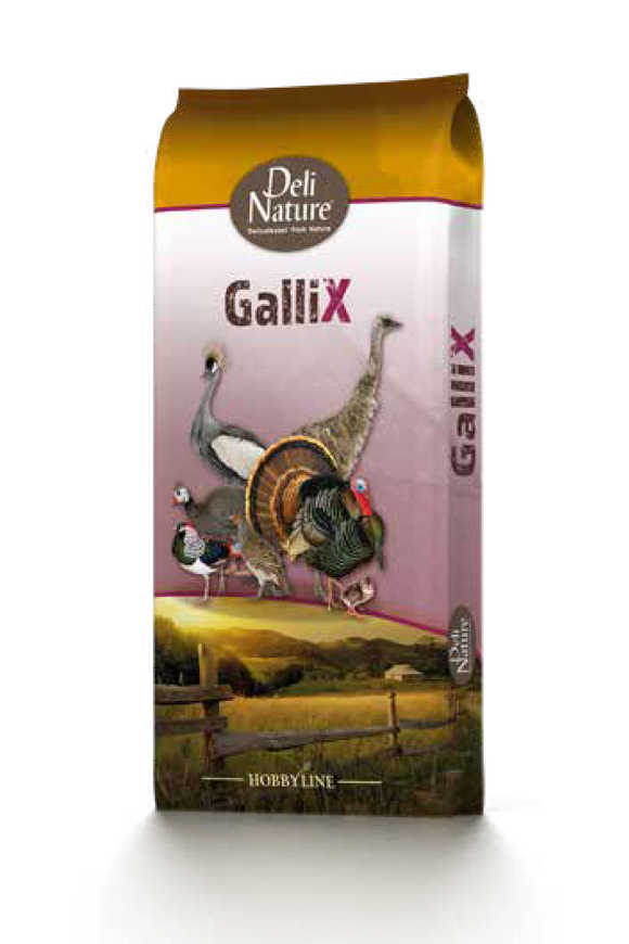 DN GALLIX TURKEY START KRUIMEL 20 KG