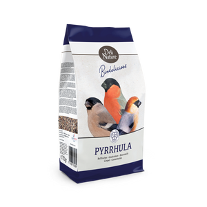 DN BIRD. PYRRHULA - GOUDVINKEN 750 GR