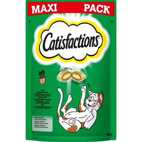 CATISFACTIONS CATNIP 180 GR