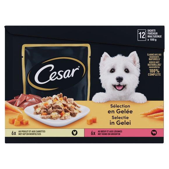 CESAR POUCH ADULT GELEI MP 12x100 GR