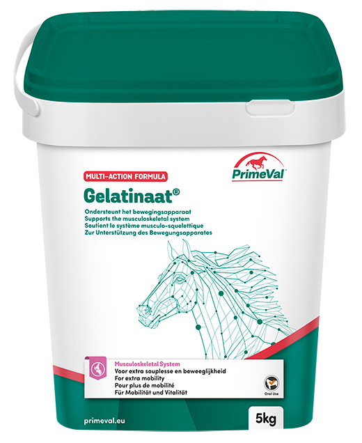 PRIMEVAL GELATINAAT PAARD 5 KG