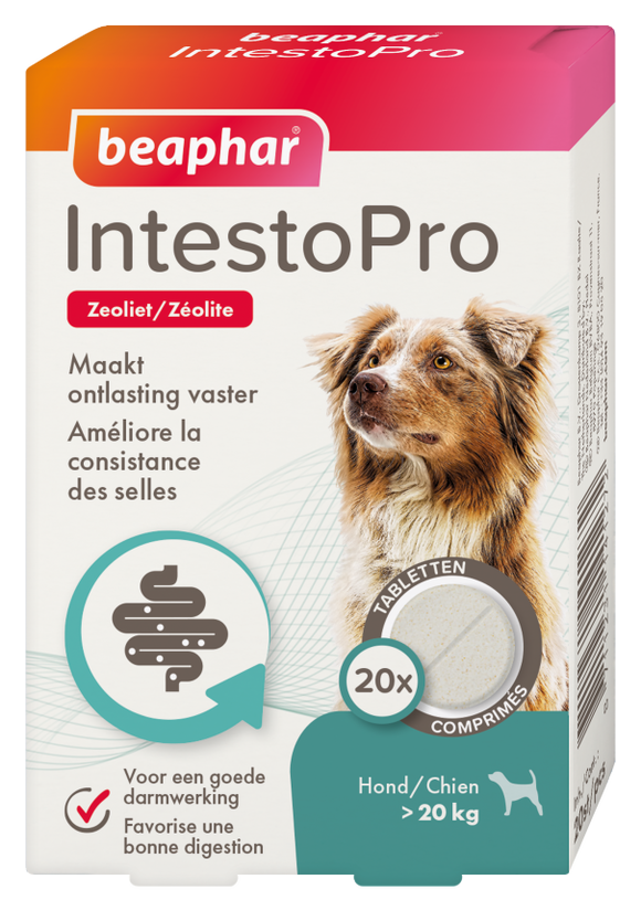 BEAPHAR INTESTOPRO HOND>20KG 20 ST