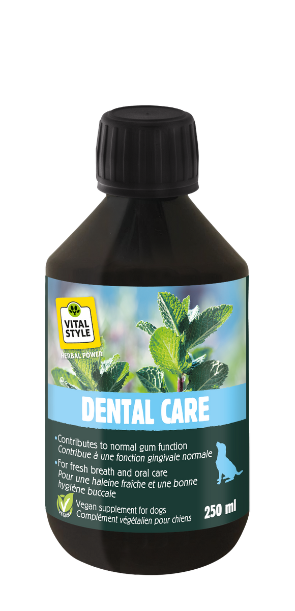 VITALSTYLE HOND DENTAL CARE 250 ML