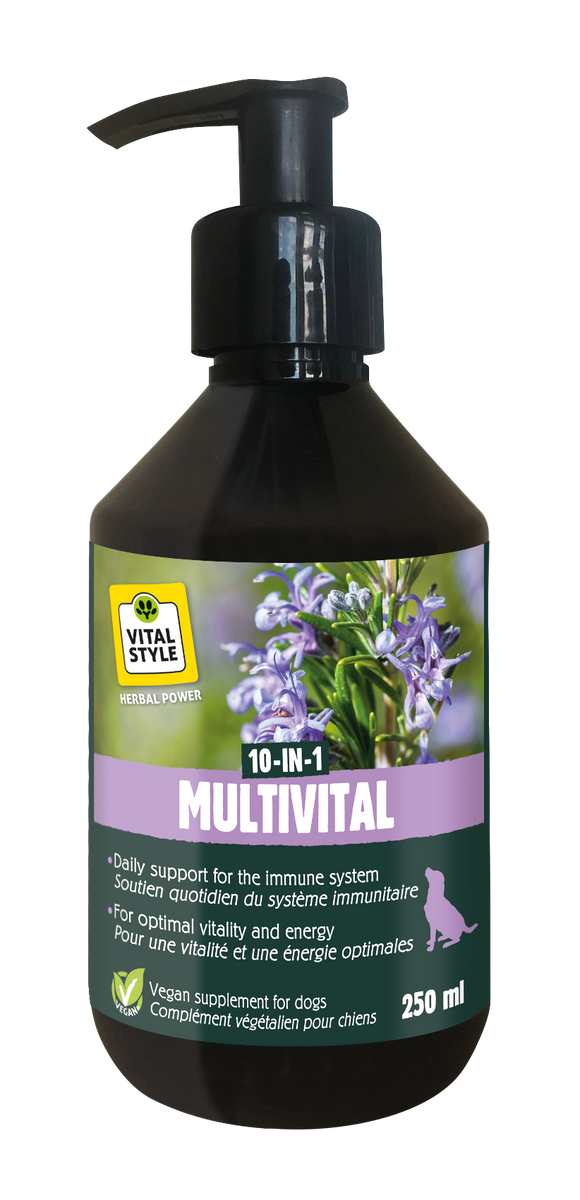 VITALSTYLE HOND MULTIVITAL 250 ML