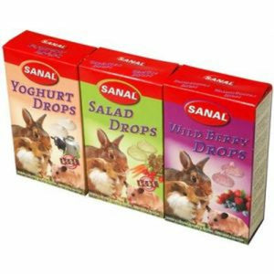 SANAL KNAAGDIER SNOEPJES 3x45 GR