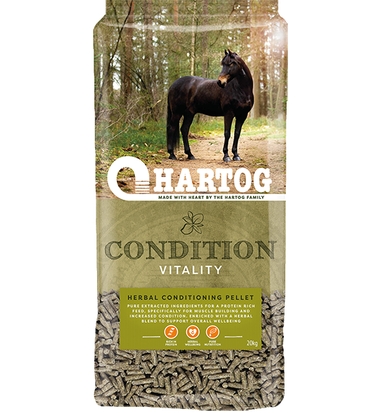 HARTOG CONDITION 20 KG