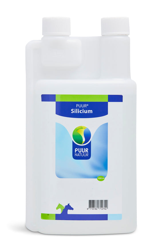 PUUR SILICIUM P&P 1 LTR