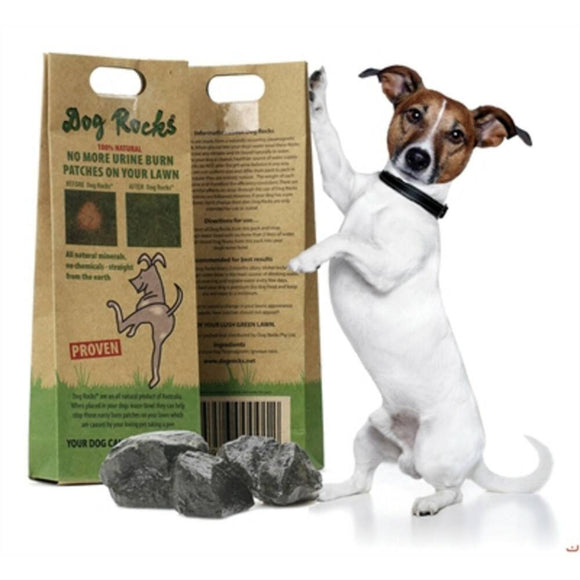 DOG ROCKS TEGEN URINE IN GRAS 200 GR