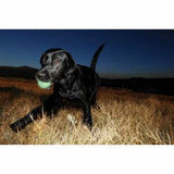Chuckit Glow In The Dark Ball Medium Met deze bal kun je in het donker ook buiten met je hond spelen! Gemakkelijk schoon te maken Stuitert goed Stevige bal Geeft licht in het donker Gemakkelijk schoon te maken