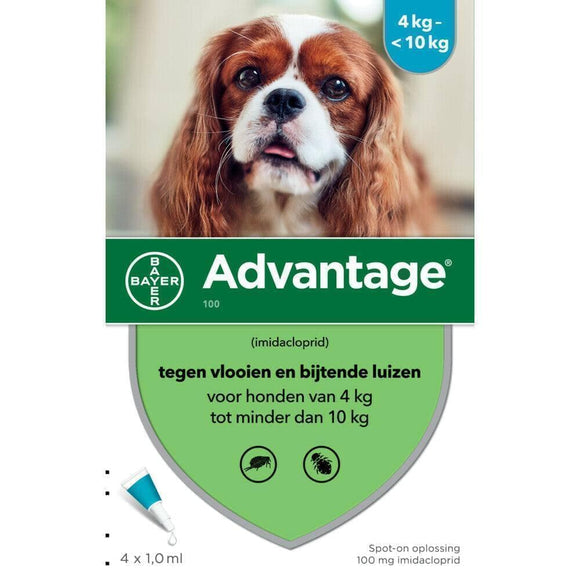 Advantage parasietbehandeling hond 100 4-10kg 4pip